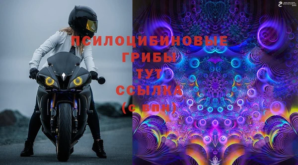 первитин Богородицк