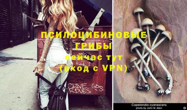 дистиллят марихуана Снежногорск