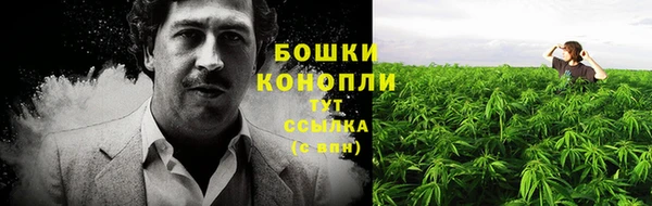 спайс Богородск