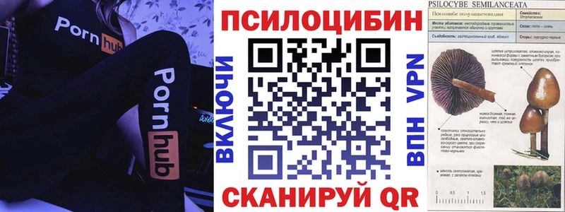 Псилоцибиновые грибы мицелий  как найти закладки  Володарск 